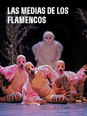 Las Medias de los Flamencos en Mori Vitacura