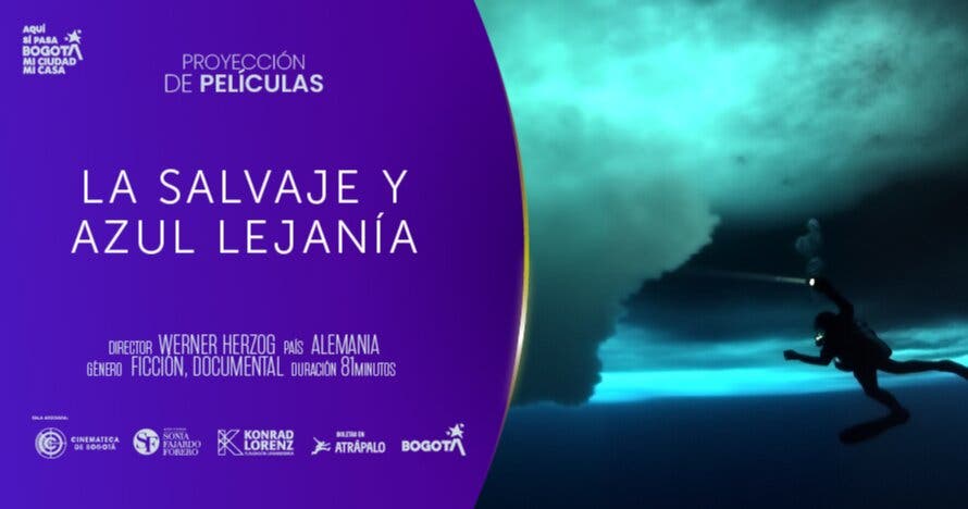 Proyección de Cine - Octubre 2025
