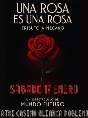 Una rosa es una rosa
