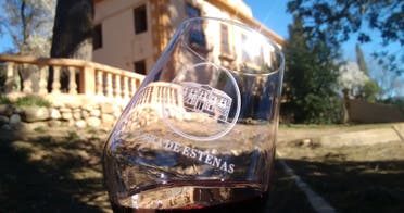 Cata de vinos, visita viedo y bodega