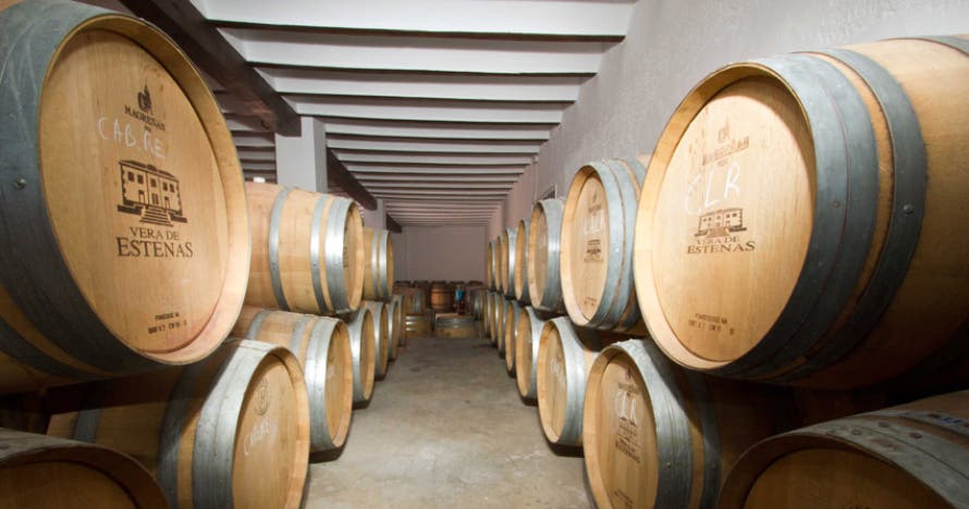 Cata de vinos con pica pica y visita a la bodega Vera de Estenas