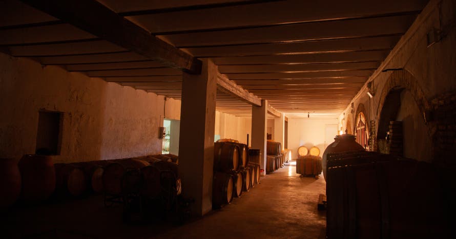 Cata de vinos con pica pica y visita a la bodega Vera de Estenas