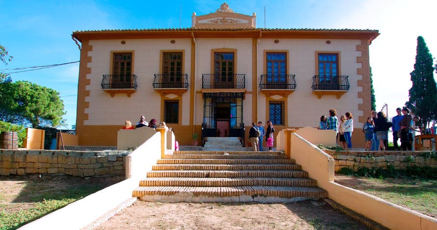 Cata de vinos con pica pica y visita a la bodega Vera de Estenas