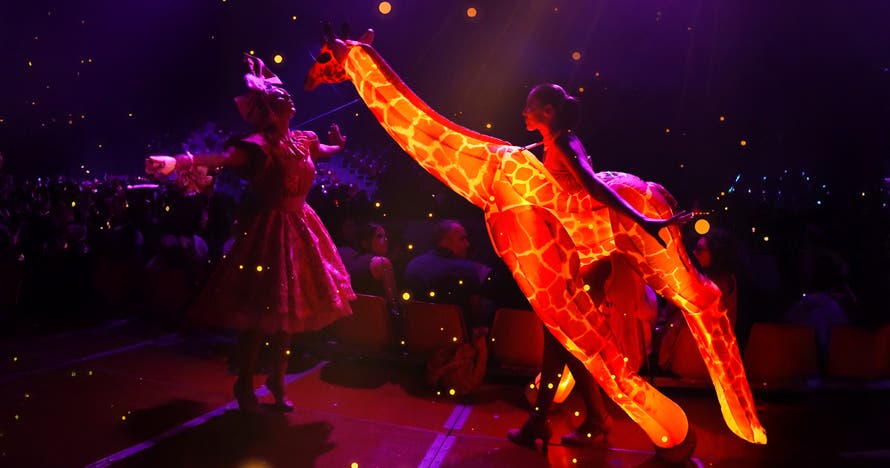 Circo Alegría: El Circo de la Luz - Madrid