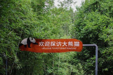 Entrada a la base de pandas de Chengd