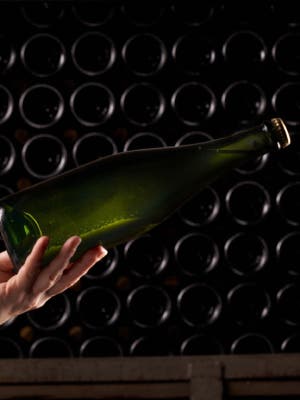 Visita a Bodega PInord con cata y maridaje