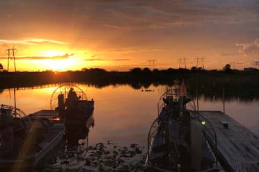 Excursin nocturna a los Everglades