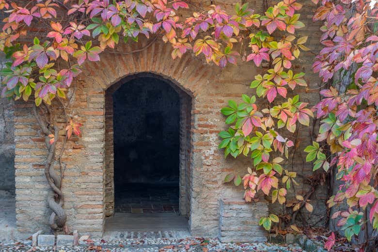 Free tour por la Granada de Al-Ándalus