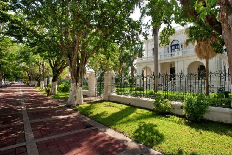 Free tour por el Paseo de Montejo