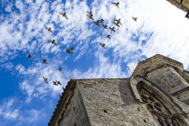 Excursin a Vic, Besal, Santa Pau y Castellfollit de la Roca en grupo reducido