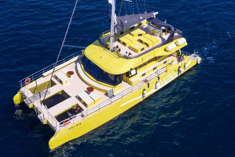 Autobús turístico de Barcelona + Paseo en catamarán