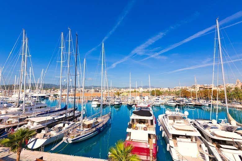 Autobús turístico de Palma de Mallorca