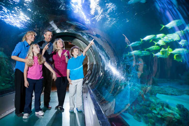 Entrada al Madame Tussauds + SEA LIFE® Orlando