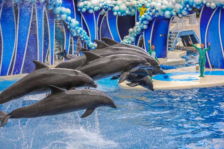 Entrada al Madame Tussauds + SEA LIFE® Orlando
