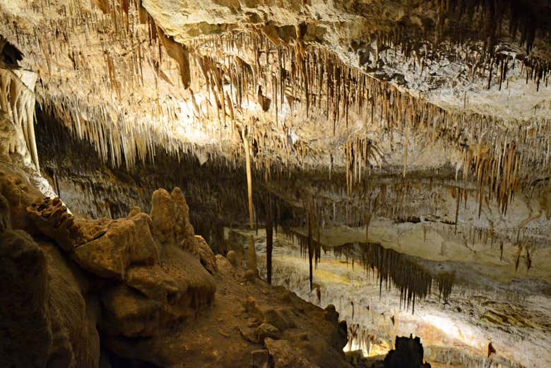 Excursión a las cuevas del Drach y Hams + Porto Cristo