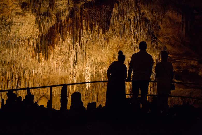 Excursión a las cuevas del Drach y Hams + Porto Cristo