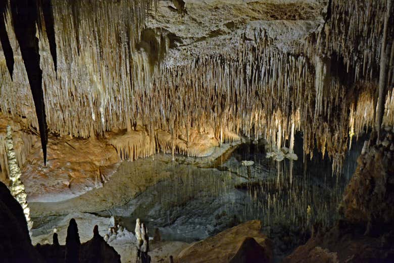 Excursión a las cuevas del Drach y Hams + Porto Cristo
