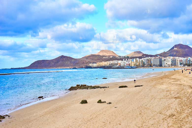 Excursión por Las Palmas y Jardín Botánico Canario para cruceros