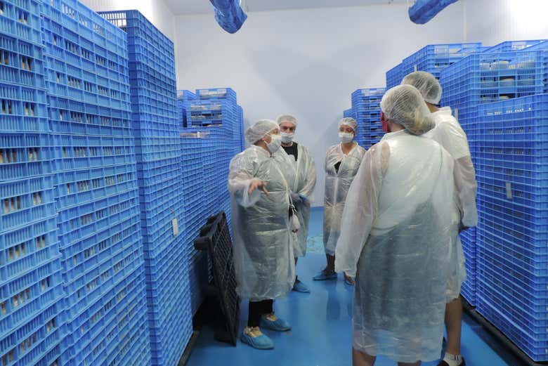Tour por una quesería cacereña
