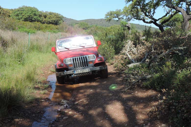 Tour en 4x4 por la Sierra de San Pedro