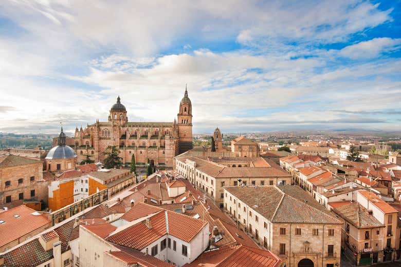 Excursión privada desde Madrid