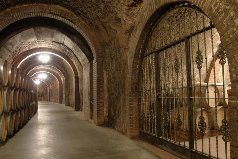 Tour del vino por la Ribera del Duero