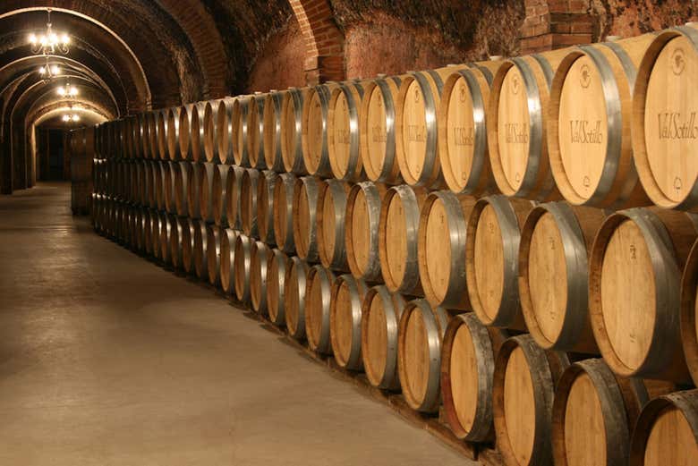 Tour del vino por la Ribera del Duero
