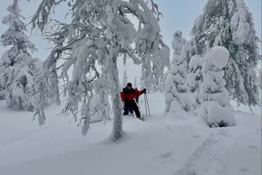 Paseo con raquetas de nieve por el Parque Pallas-Yll�stunturi