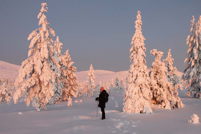 Paseo con raquetas de nieve por el Parque Pallas-Yllästunturi