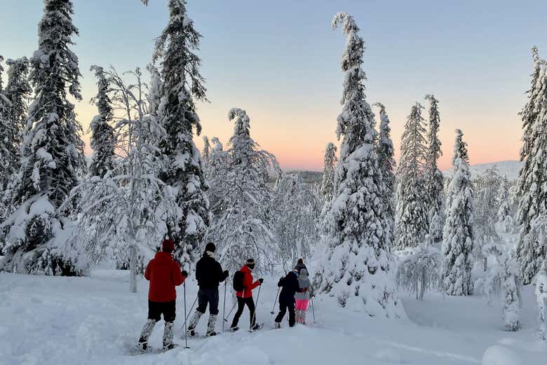 Paseo con raquetas de nieve por el Parque Pallas-Yllästunturi
