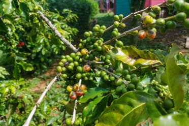 Senderismo por la Sierra del Infierno al amanecer