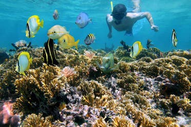 Tour de aventura por el ro Hatiguanico y Guam