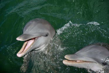 Excursin privada a Cayo Blanco en catamarn