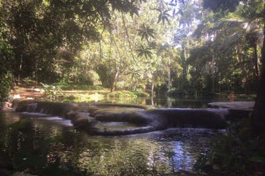 Excursin a los Jardines Hershey en moto