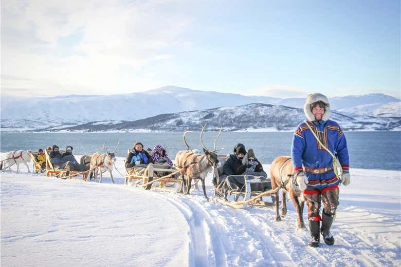 Paseo en trineo de renos y visita a un campamento sami
