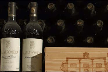 Cata de vino, queso y aceite en la Bodega Matarromera