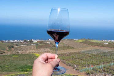 Tour del vino por el sur de Tenerife