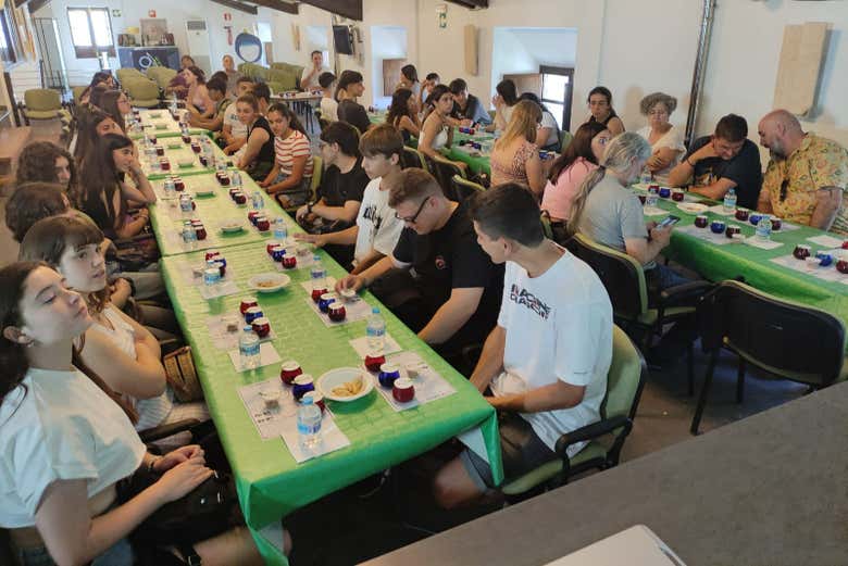 Cata de aceites de Jaén