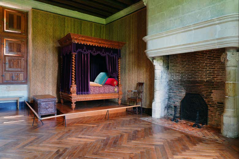 Excursión a los castillos de Villandry y Azay-le-Rideau