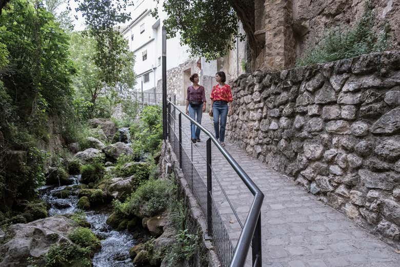 Visita guiada por Cazorla + Cata de aceite