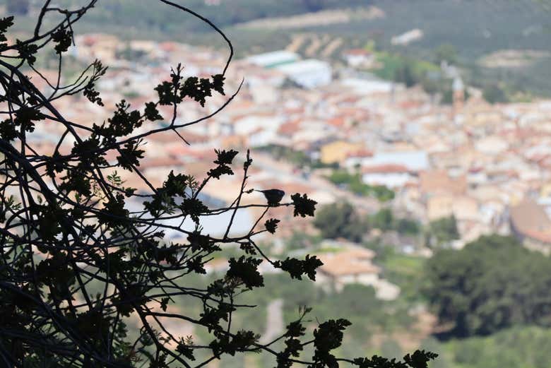 Senderismo por Cuevas de San Marcos