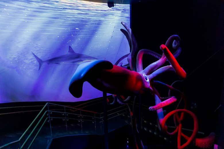 Entrada a Atlantis Aquarium