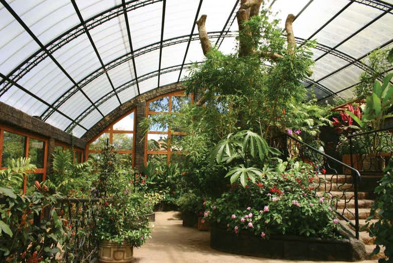 Excursión a los Jardines de la catarata La Paz - ESP::_related_product