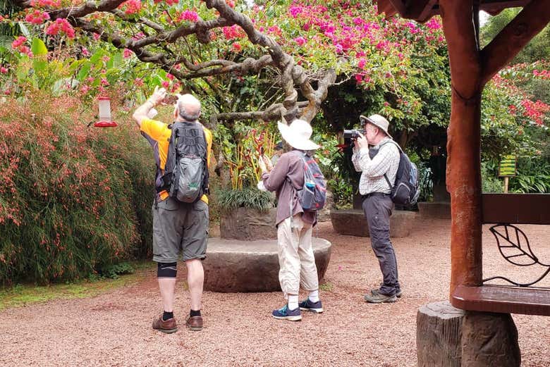 Excursión a los Jardines de la catarata La Paz