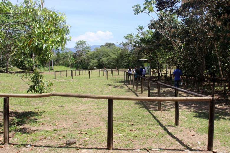 Excursión al Sitio Arqueológico Finca 6
