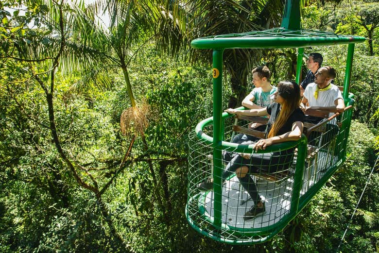Excursión al parque de aventuras Rainforest Atlantic