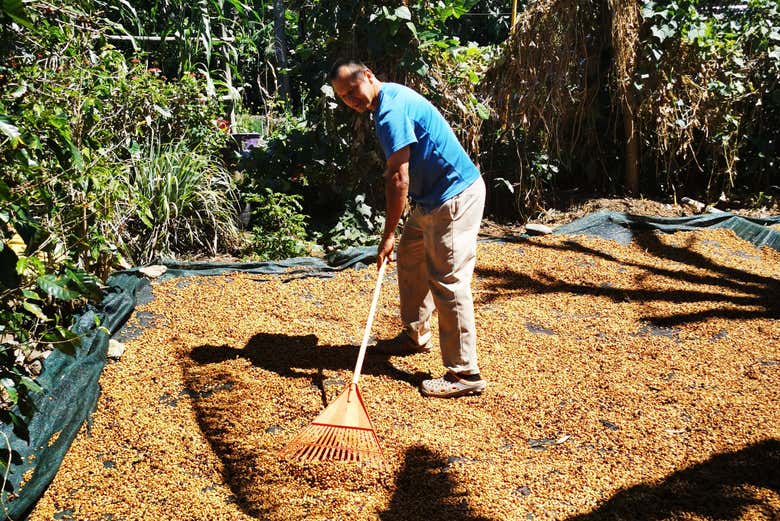 Tour del café por San Marcos de Tarrazú