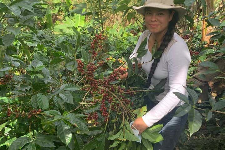 Tour del café por San Marcos de Tarrazú