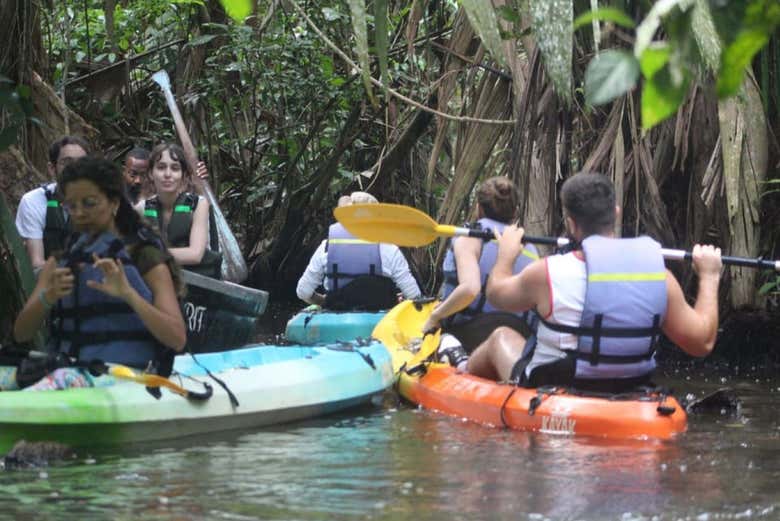 Tour en kayak por el Parque Nacional Tortuguero - Actividad relacionada