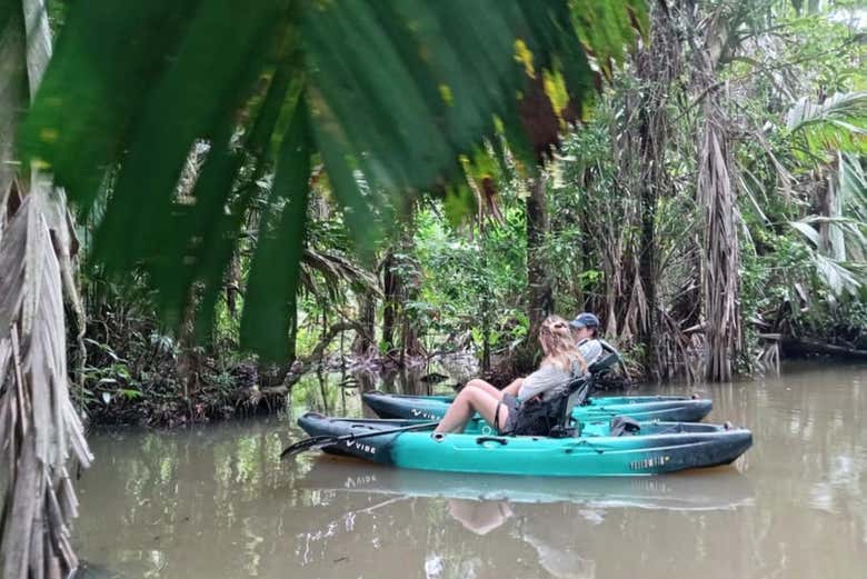 Tour en kayak por el Parque Nacional Tortuguero